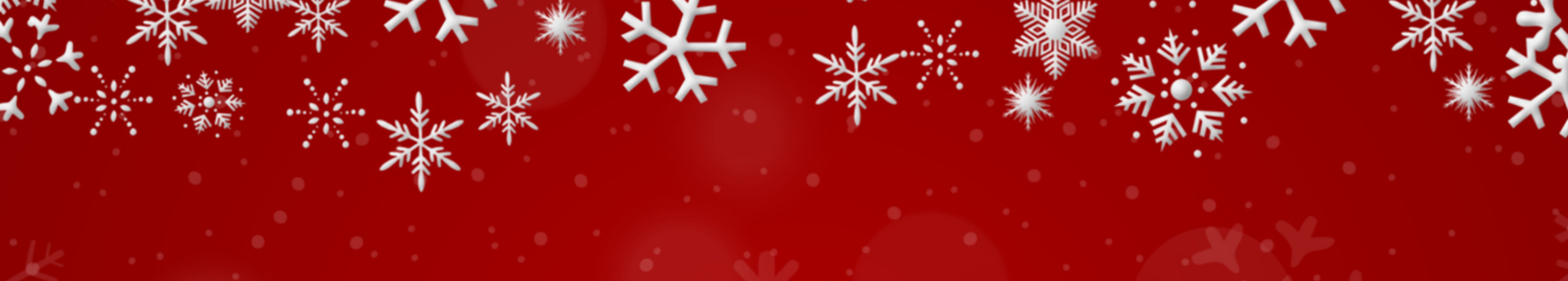 Christmas Sale