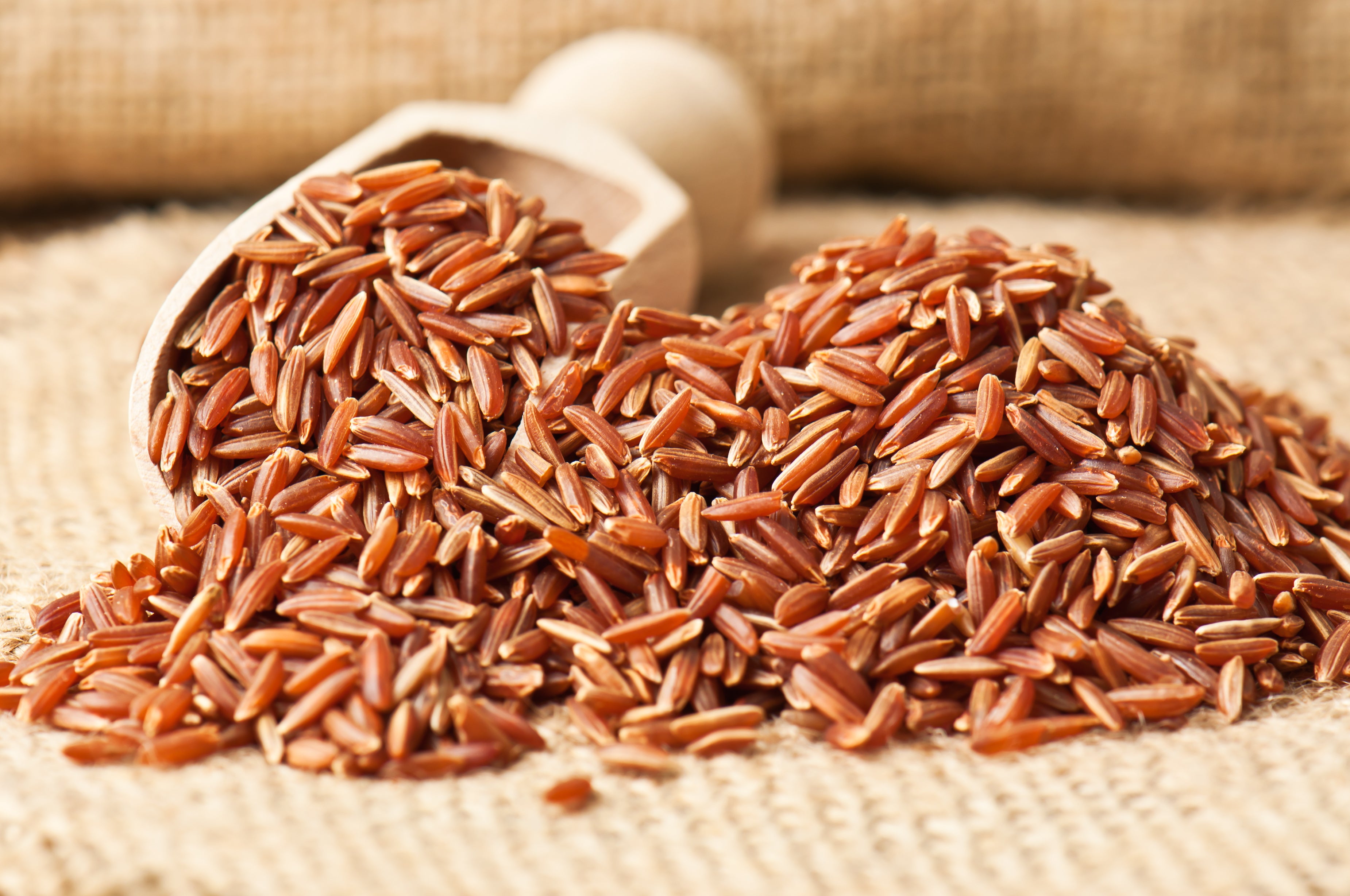 A Quick Guide to a Low GI Diet: What Rice is Low GI?