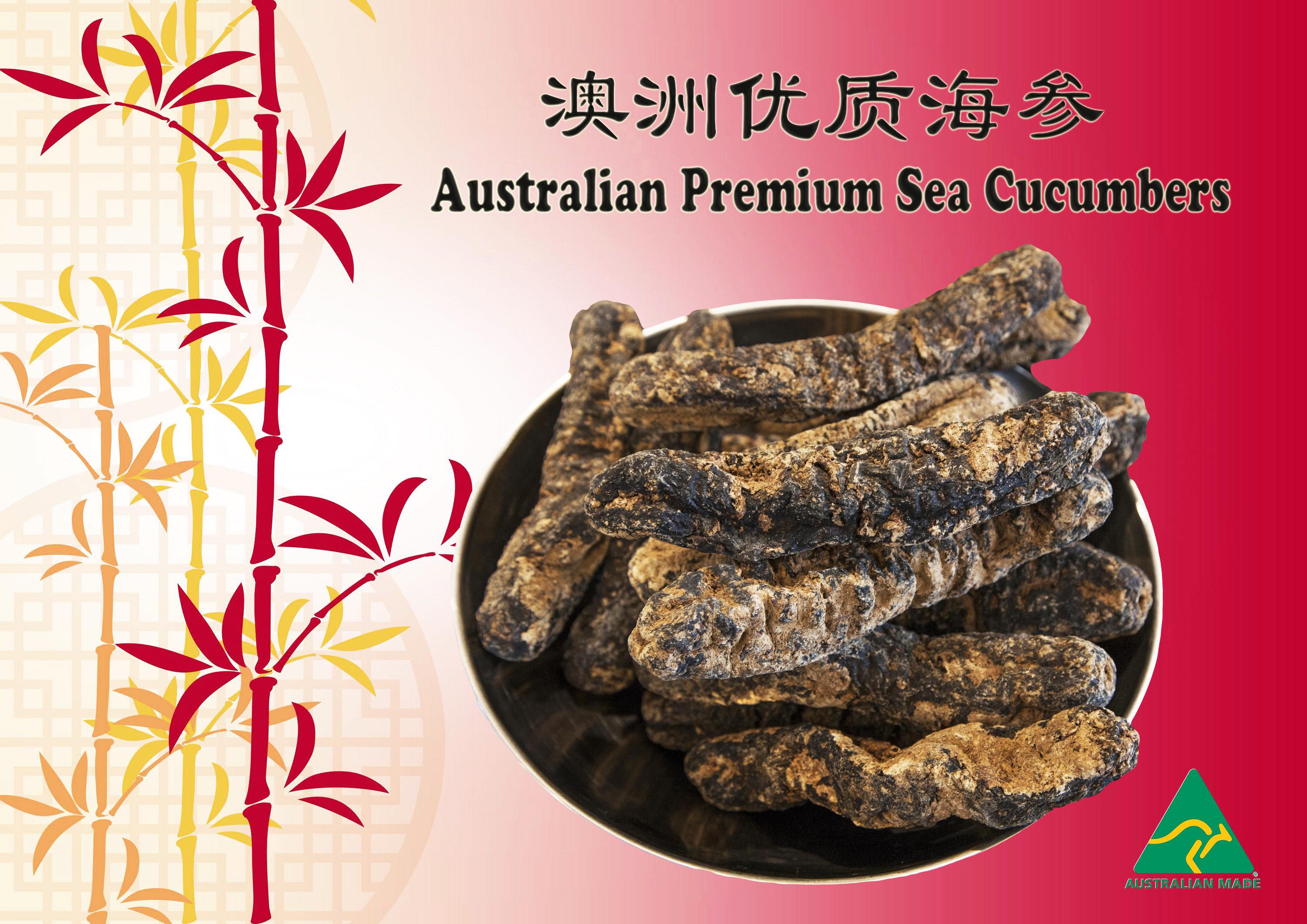 Premium Sea Cucumbers - Golden Sandfish