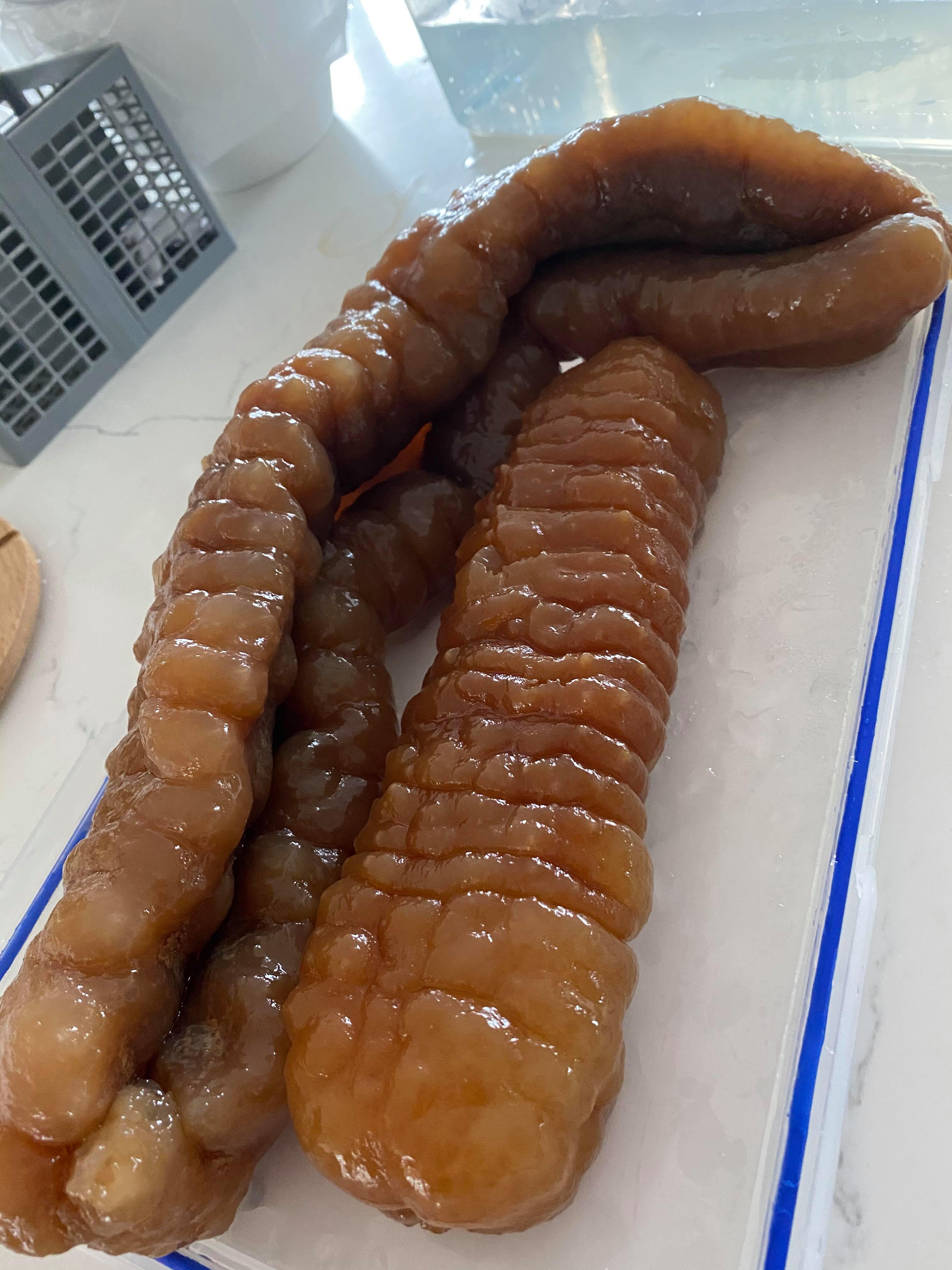 Premium Sea Cucumbers - Golden Sandfish