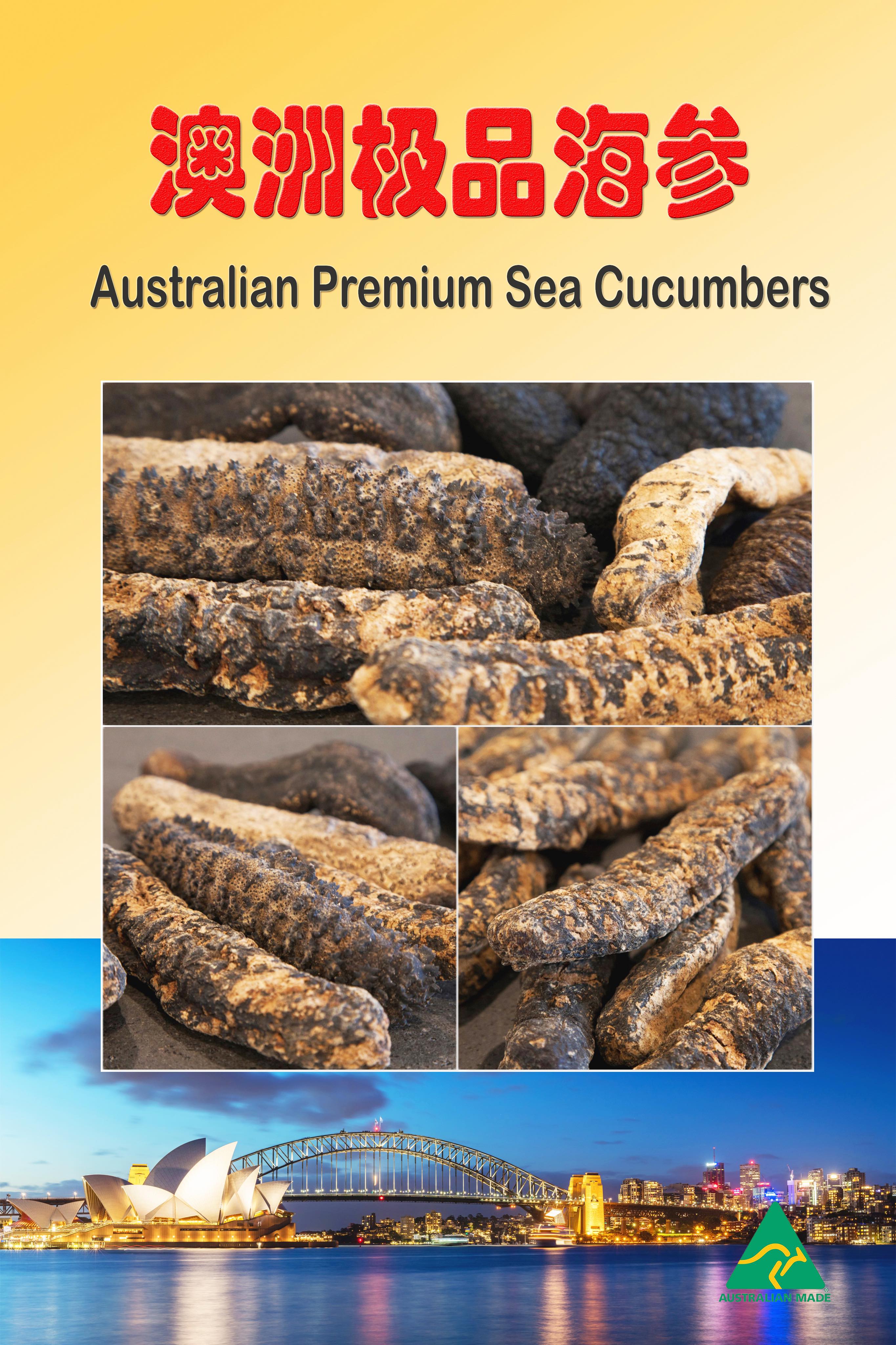 Premium Sea Cucumbers - Golden Sandfish
