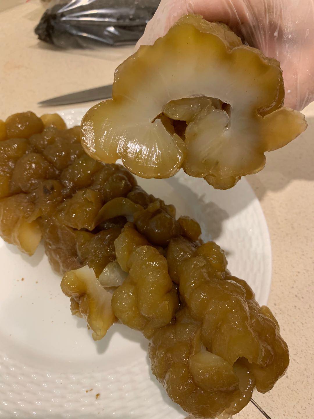 Premium Sea Cucumbers - Golden Sandfish