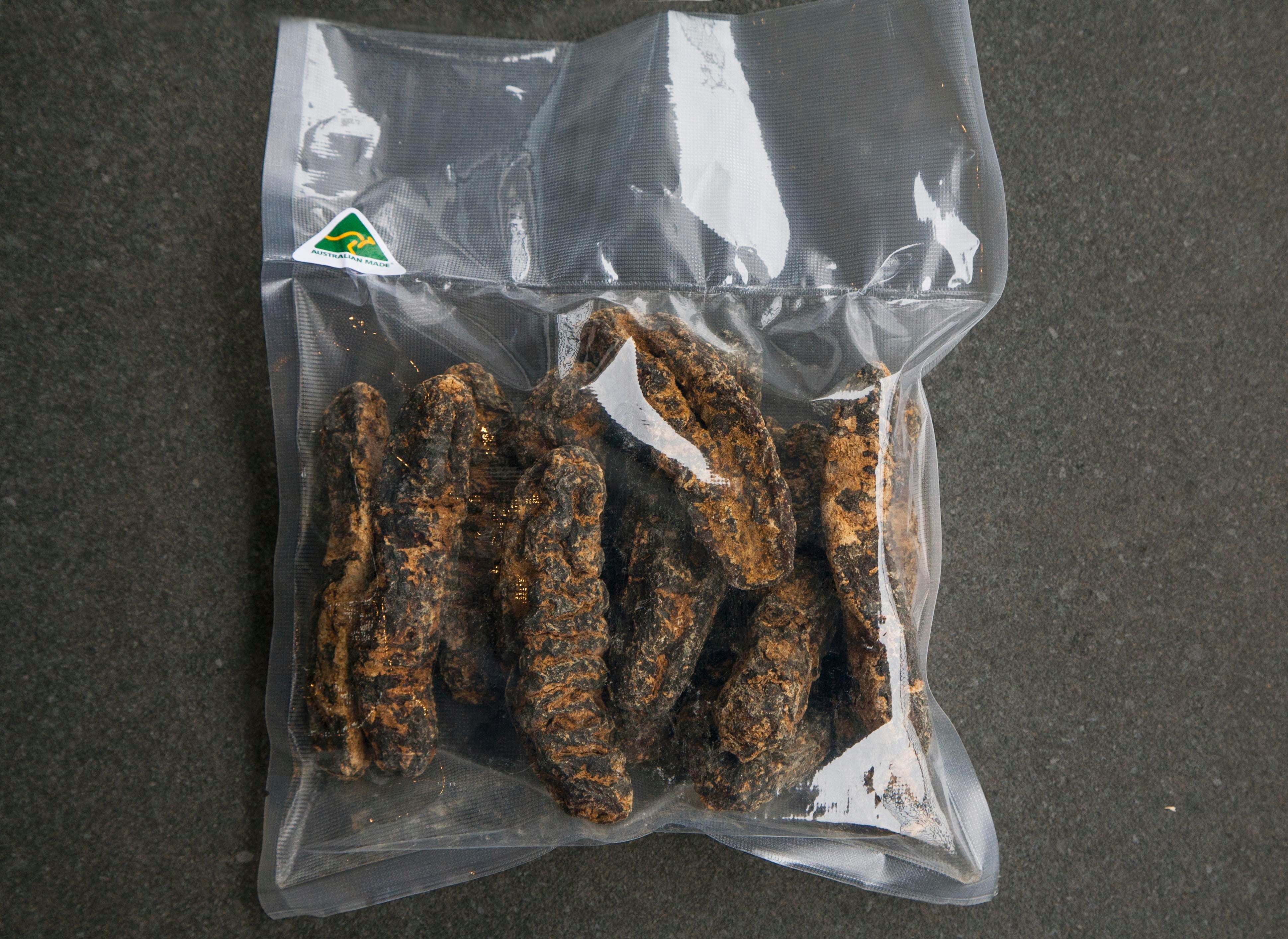 Premium Sea Cucumbers - Golden Sandfish