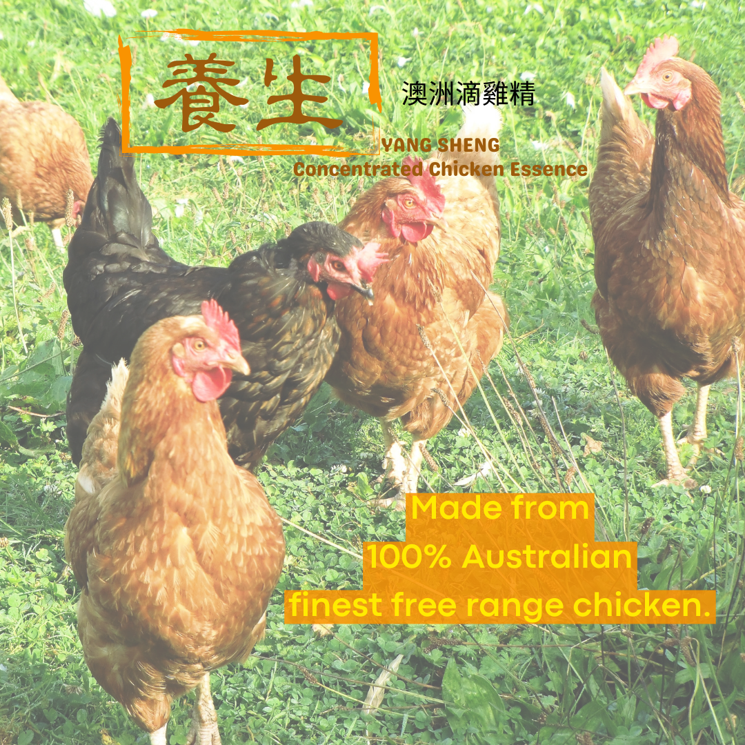 Yang Sheng Concentrated Chicken Essence (1 Box 4 Jars) - Australia Only